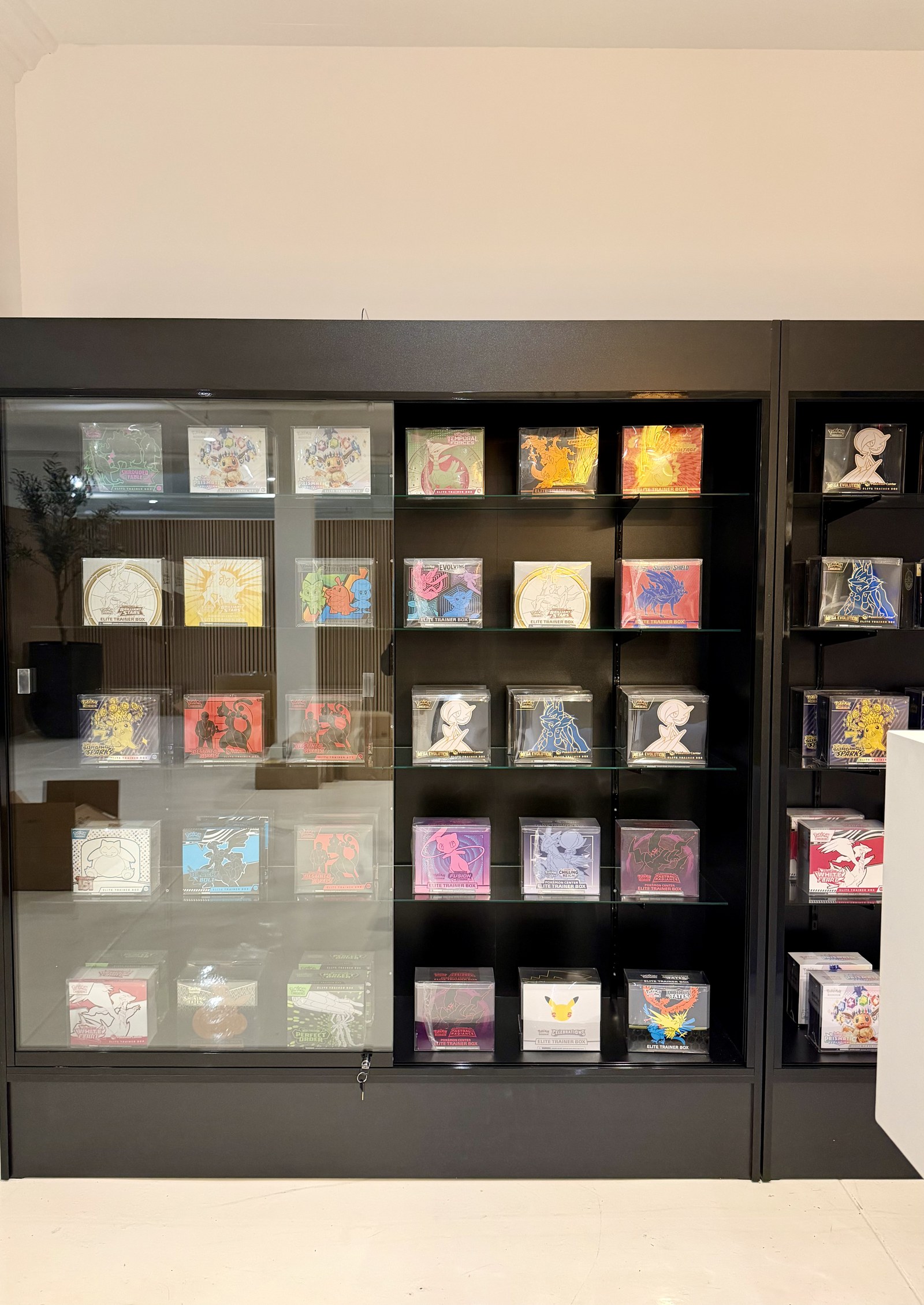 Inside TCG Paradise & Collectibles